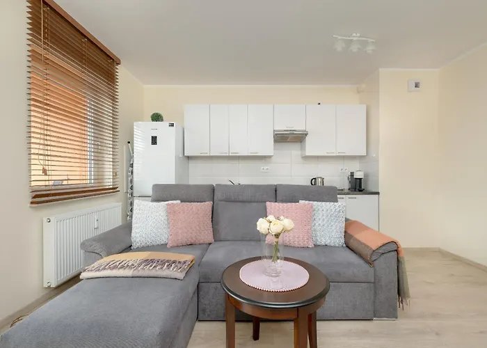 Apartment Wilczak Spacious With Free Garage By Renters